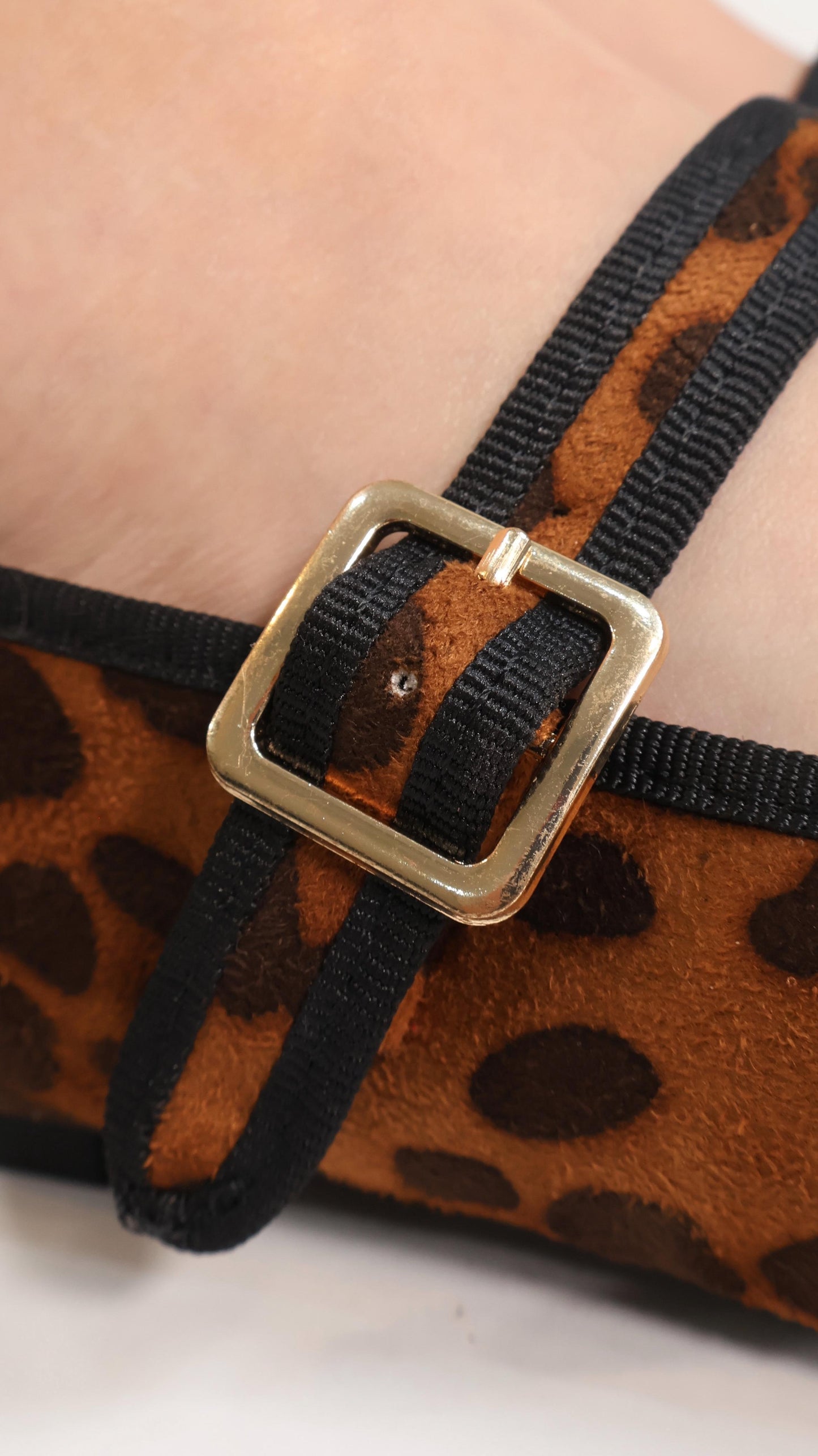 SAFARI