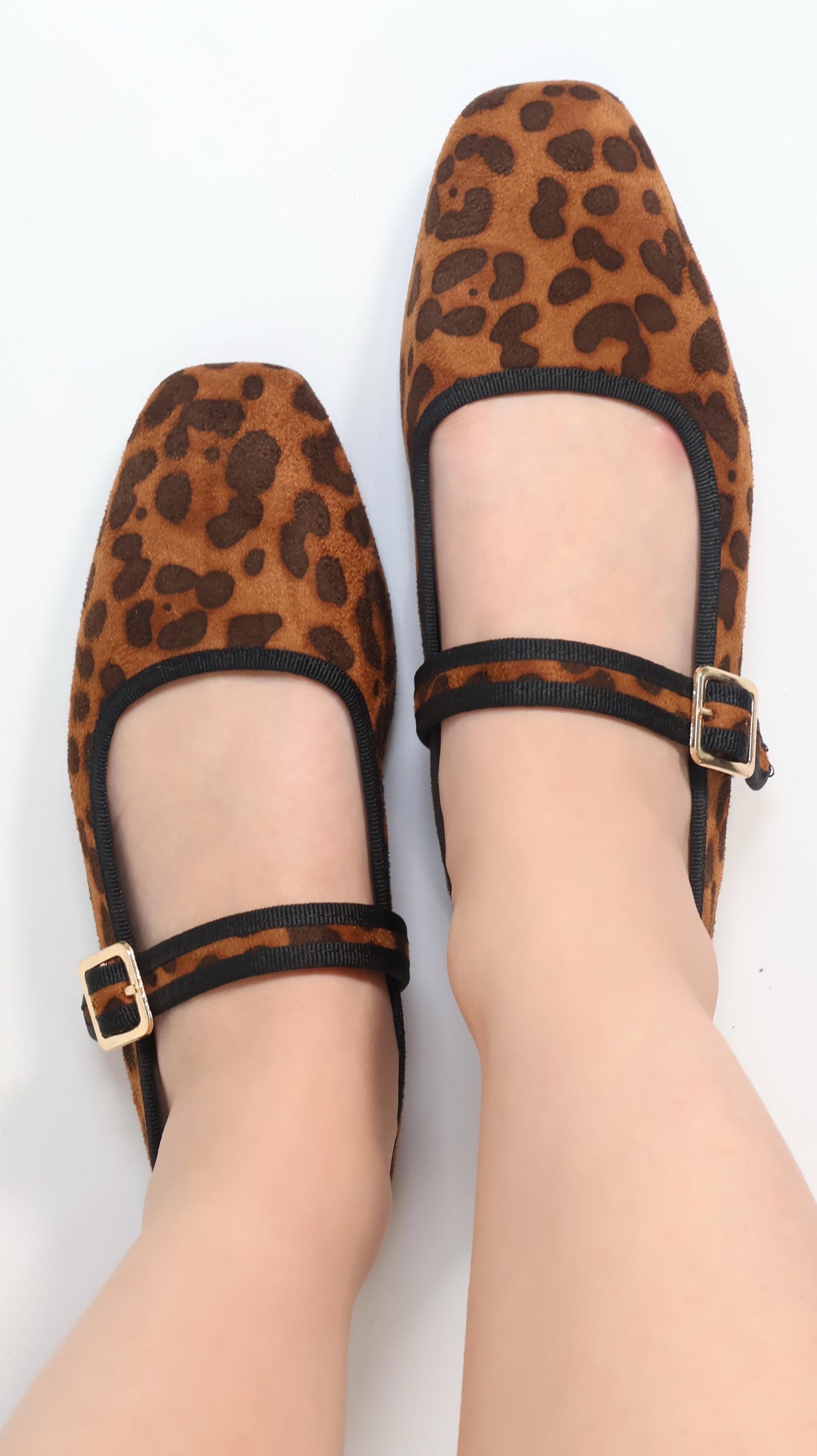 SAFARI